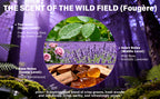HKY Wild Field Body Mist - Alcohol-Free Hydrating Fragrance for Hair & Body (55ml)